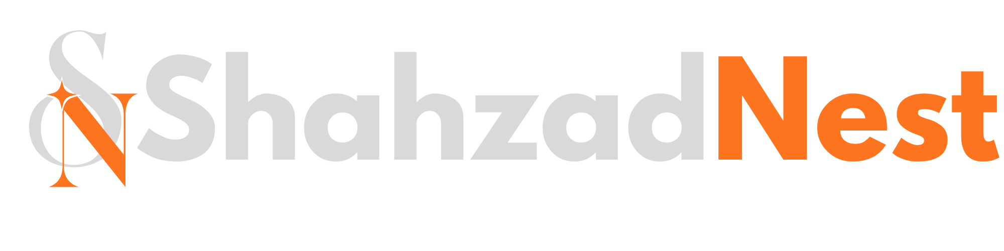 ShahzadNest logo
